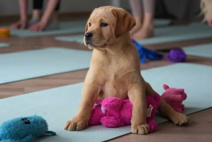 Oriģinālas idejas vecmeitu un vecpuišu ballītēm Rīgā