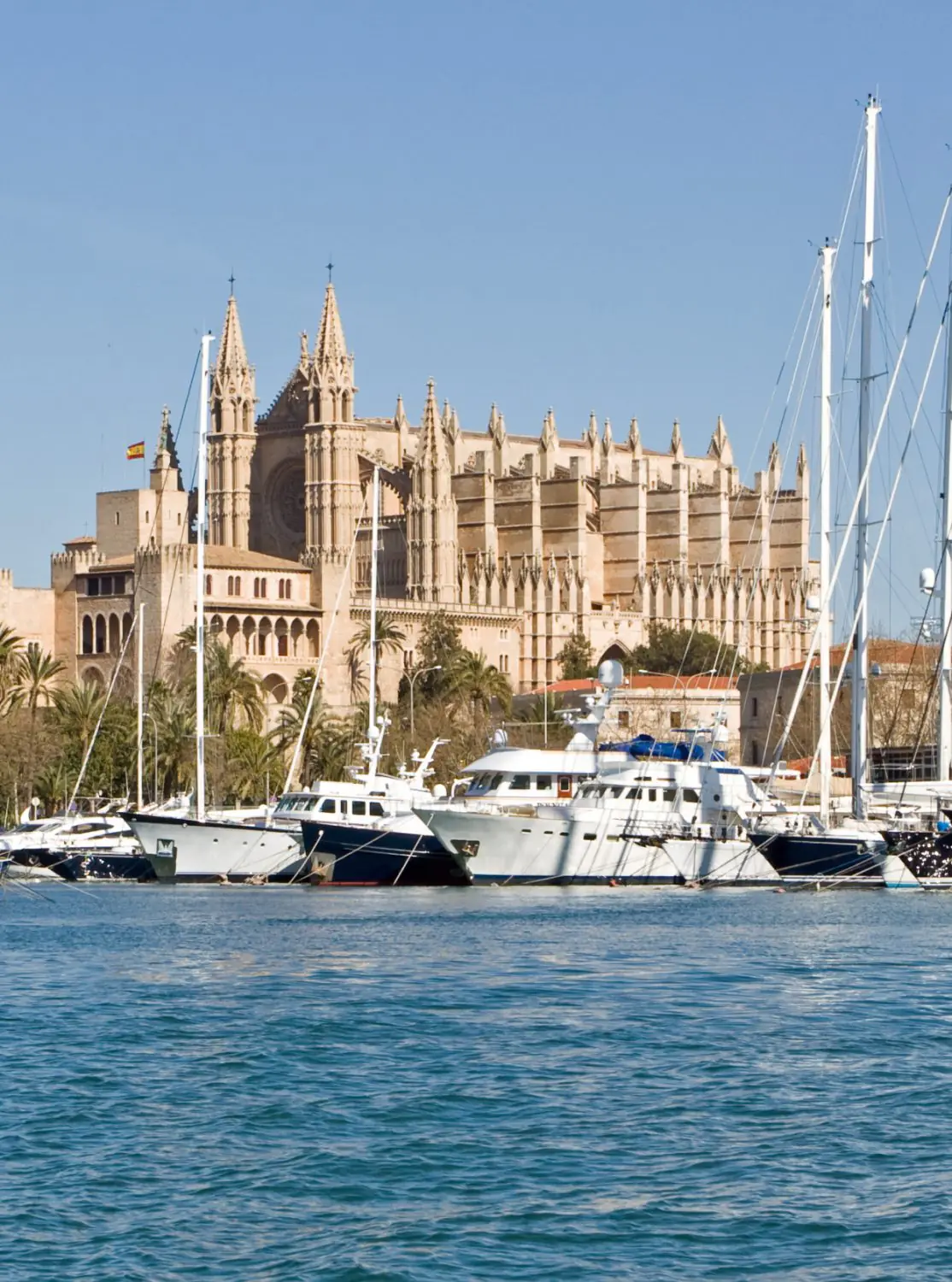 Overtourism has harmed Europe: why cities are no longer happy to welcome guests