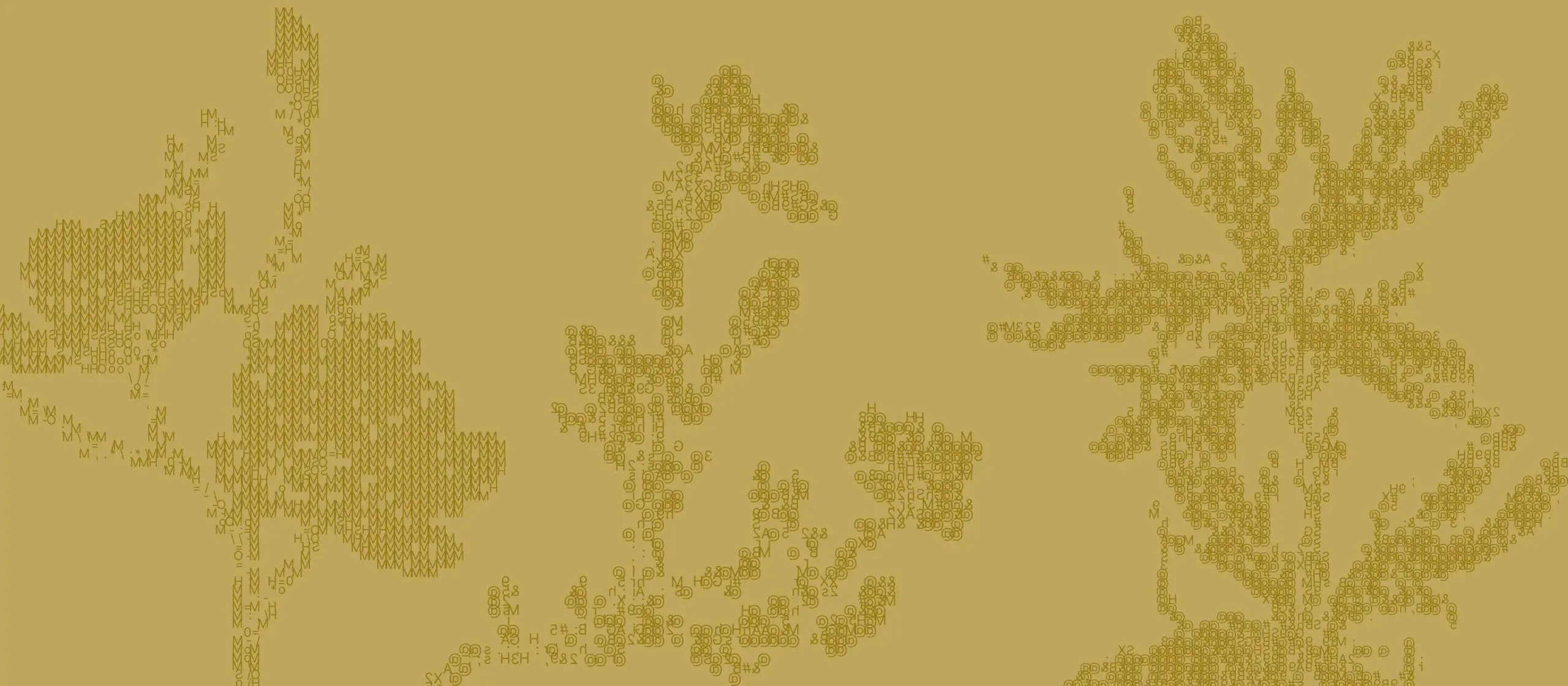 Sievietes, kuras rada, un viņu biznesa projekti Latvijā