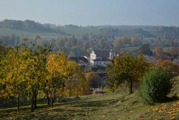 Ziemeļu vīns: kā Latvijā, spītējot klimatam, tiek audzētas vīnogas