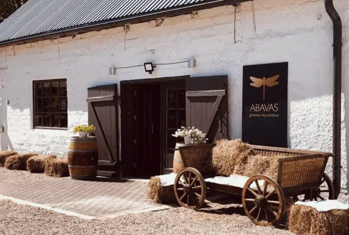 Ziemeļu vīns: kā Latvijā, spītējot klimatam, tiek audzētas vīnogas