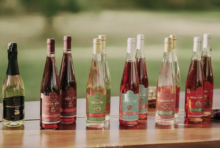 Ziemeļu vīns: kā Latvijā, spītējot klimatam, tiek audzētas vīnogas