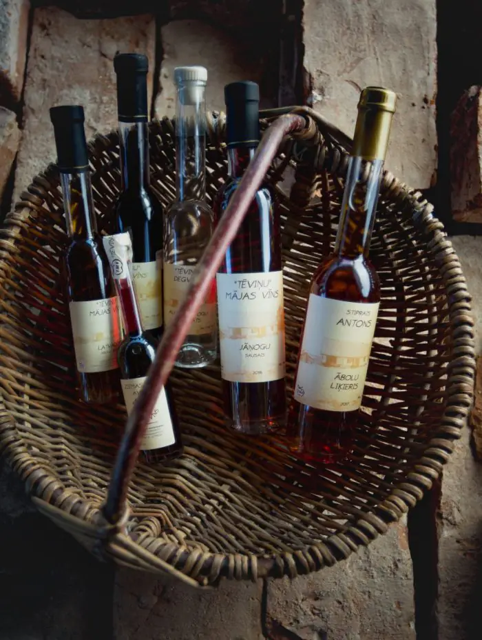 Ziemeļu vīns: kā Latvijā, spītējot klimatam, tiek audzētas vīnogas