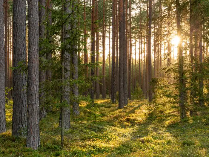 news digest: April 20 — 24