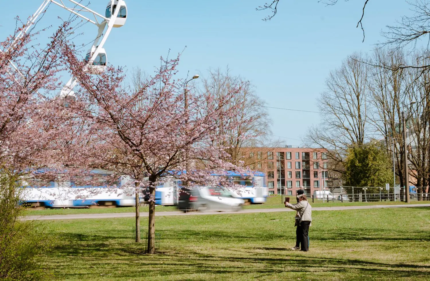 Riga in Bloom: A Guide to the City and Beyond