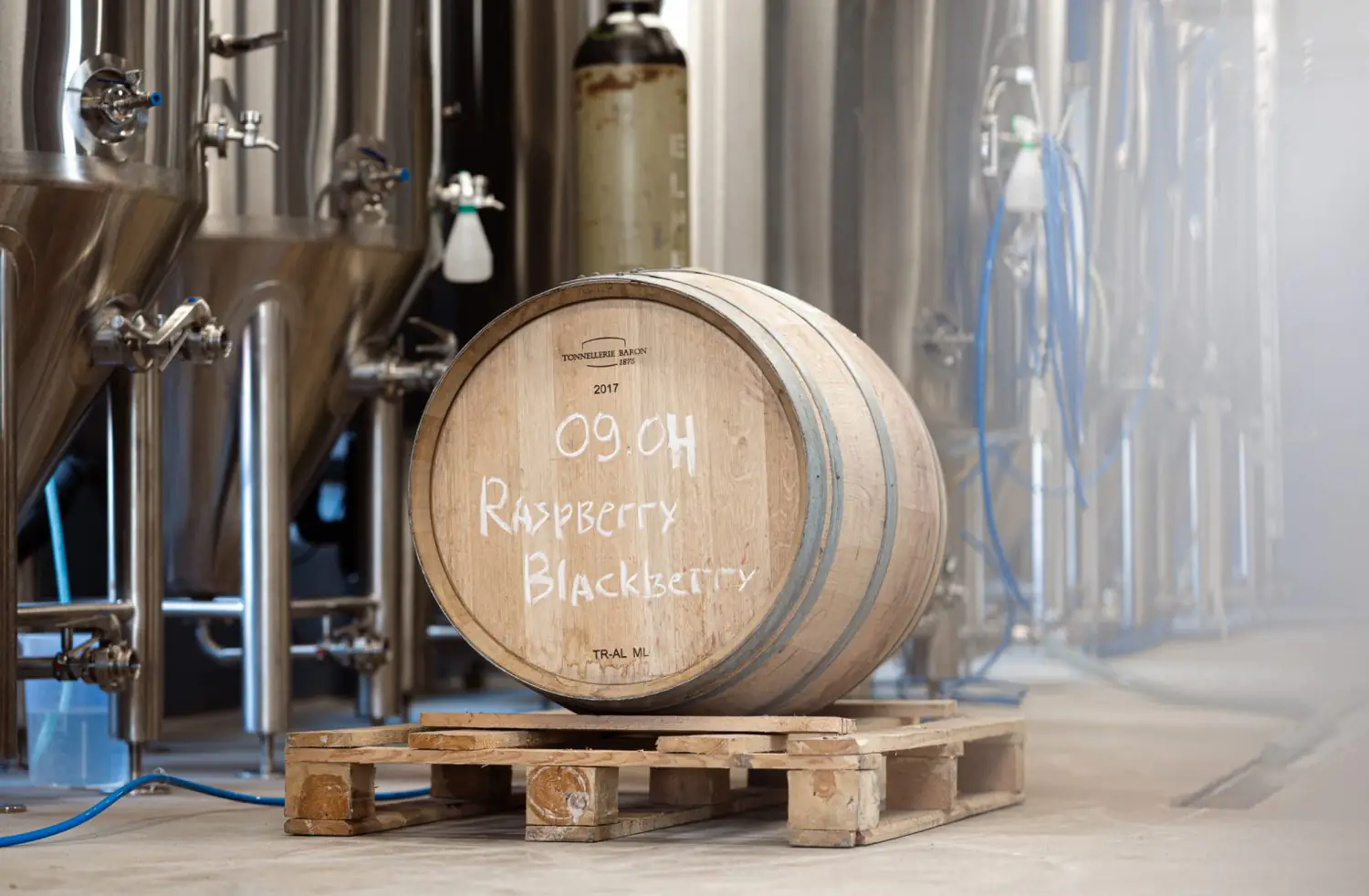 From Brewery <br>to Ecosystem: <br>The Story of DUNA