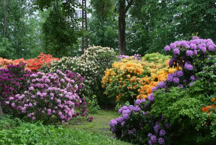 Riga in Bloom: A Guide to the City and Beyond