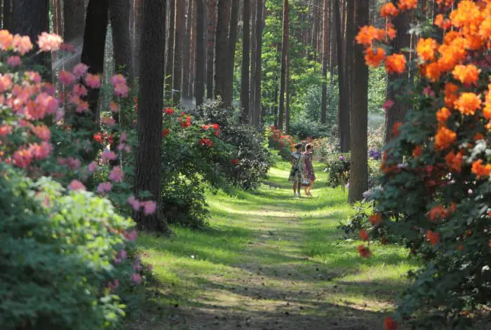 Riga in Bloom: A Guide to the City and Beyond