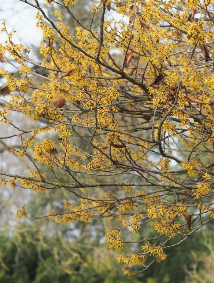 Riga in Bloom: A Guide to the City and Beyond