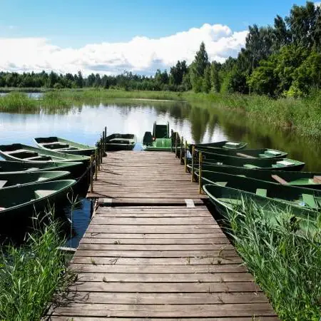 lake safari