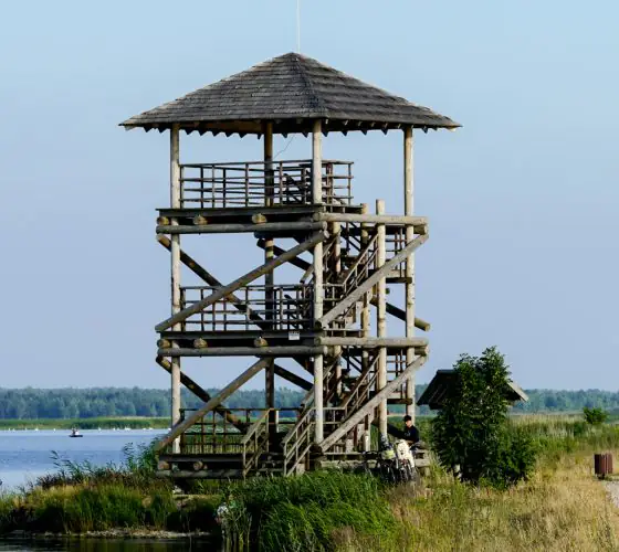 Where to Go Birdwatching in Latvia: A Beginner&rsquo;s Guide