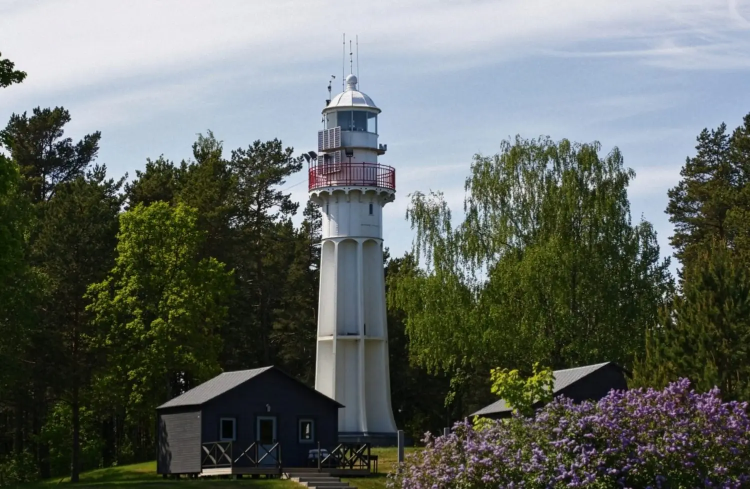 Kur vērot putnus Latvijā: ceļvedis iesācējiem