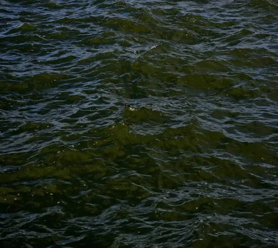 Rīdzene: history of a disappeared river