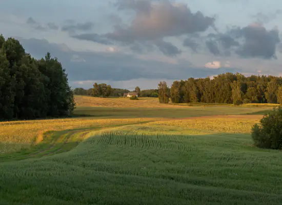 Critical Infrastructure: A New Perspective on Meadows
