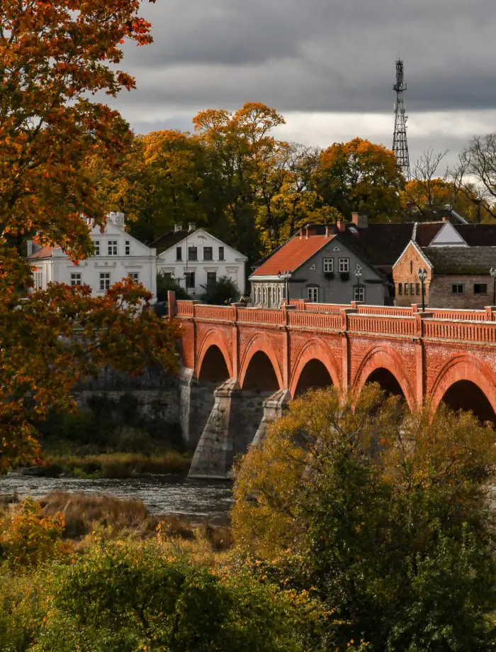 Bird Migration and Harvest Season: What to Do and Where to Go in Latvia This Autumn