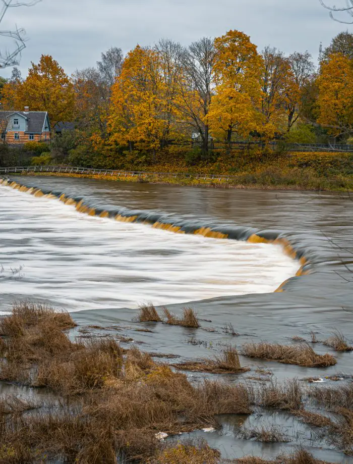 Bird Migration and Harvest Season: What to Do and Where to Go in Latvia This Autumn